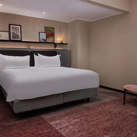 酒店 希尔顿米兰酒店 米兰