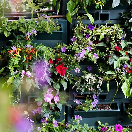 酒店 希尔顿米兰酒店