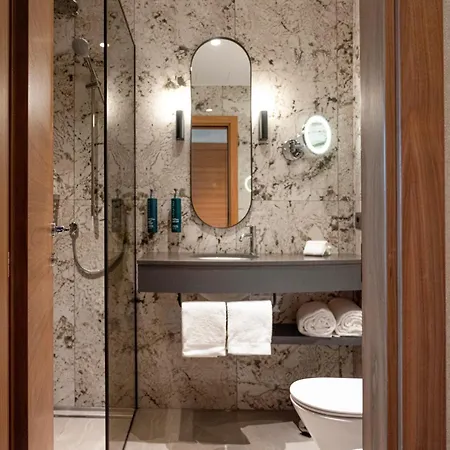 Hilton מלון 4*