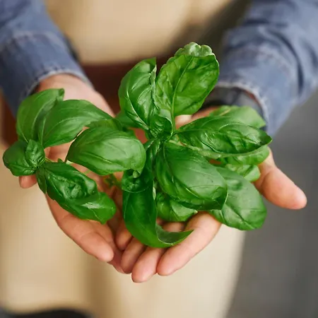 Ξενοδοχείο Hilton Μιλάνο